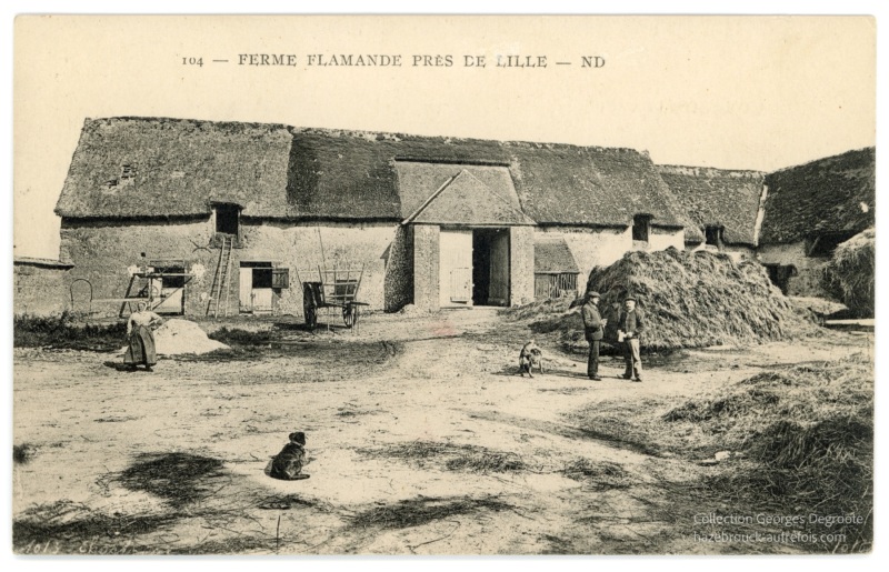 Ferme Flamande près de Lille